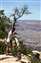 66_Master_Arizona_0179.JPG